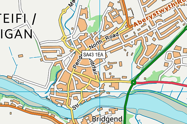 SA43 1EA map - OS VectorMap District (Ordnance Survey)