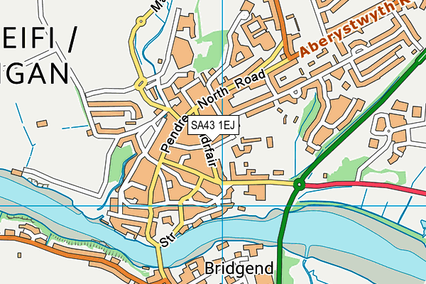 SA43 1EJ map - OS VectorMap District (Ordnance Survey)