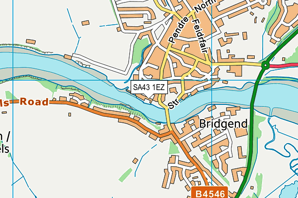 SA43 1EZ map - OS VectorMap District (Ordnance Survey)