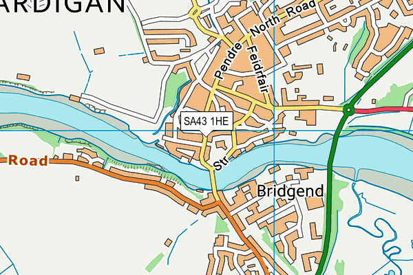 SA43 1HE map - OS VectorMap District (Ordnance Survey)