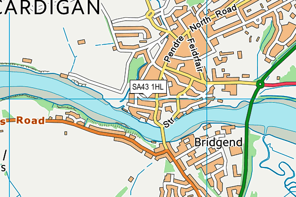 SA43 1HL map - OS VectorMap District (Ordnance Survey)