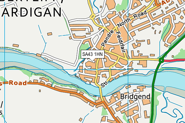 SA43 1HN map - OS VectorMap District (Ordnance Survey)