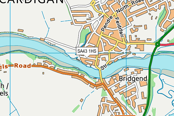 SA43 1HS map - OS VectorMap District (Ordnance Survey)