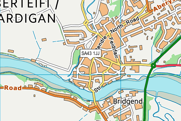 SA43 1JJ map - OS VectorMap District (Ordnance Survey)