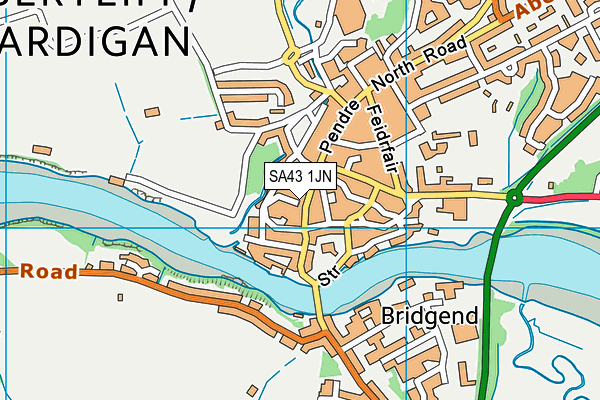 SA43 1JN map - OS VectorMap District (Ordnance Survey)