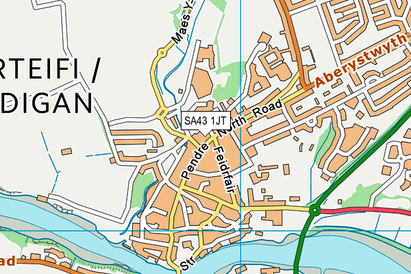SA43 1JT map - OS VectorMap District (Ordnance Survey)