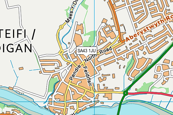 SA43 1JU map - OS VectorMap District (Ordnance Survey)