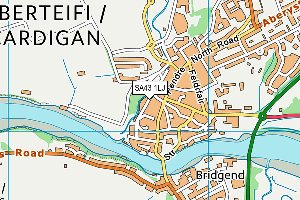 SA43 1LJ map - OS VectorMap District (Ordnance Survey)