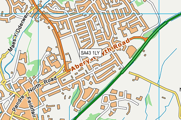 SA43 1LY map - OS VectorMap District (Ordnance Survey)