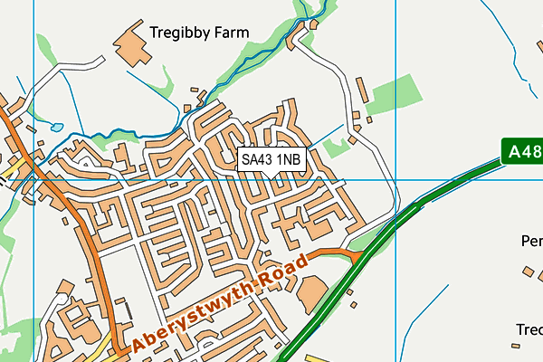 SA43 1NB map - OS VectorMap District (Ordnance Survey)