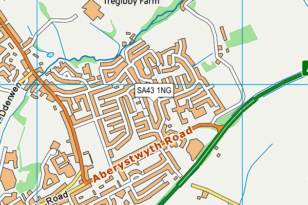 SA43 1NG map - OS VectorMap District (Ordnance Survey)