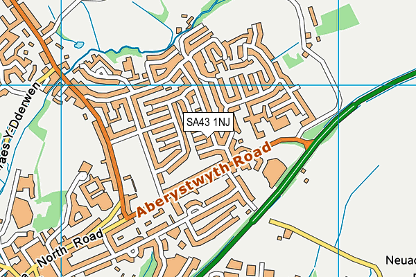 SA43 1NJ map - OS VectorMap District (Ordnance Survey)