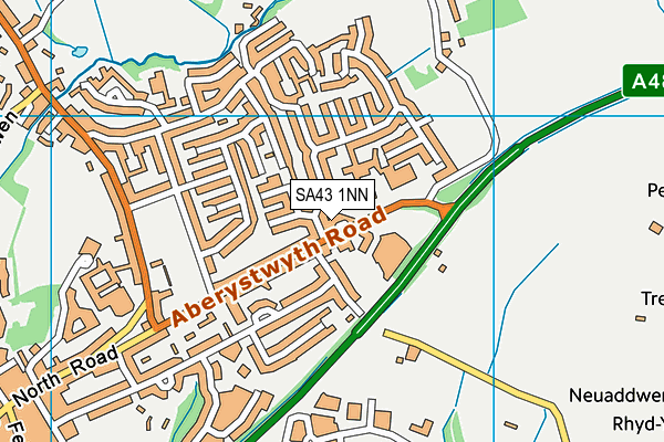 SA43 1NN map - OS VectorMap District (Ordnance Survey)