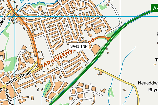 SA43 1NP map - OS VectorMap District (Ordnance Survey)