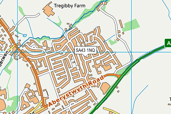 SA43 1NQ map - OS VectorMap District (Ordnance Survey)