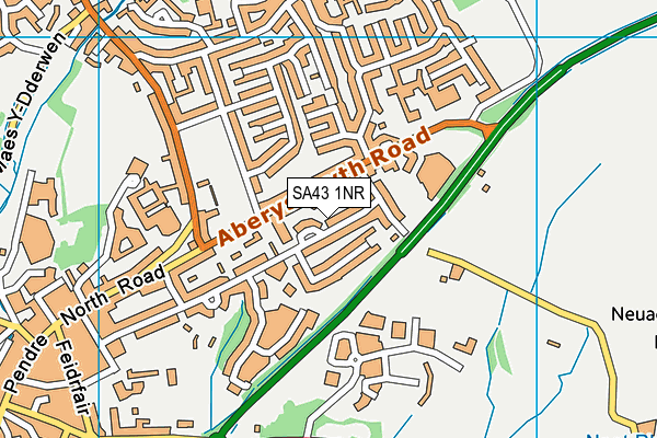 SA43 1NR map - OS VectorMap District (Ordnance Survey)