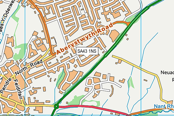 SA43 1NS map - OS VectorMap District (Ordnance Survey)