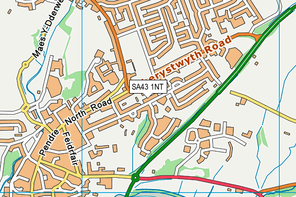 SA43 1NT map - OS VectorMap District (Ordnance Survey)