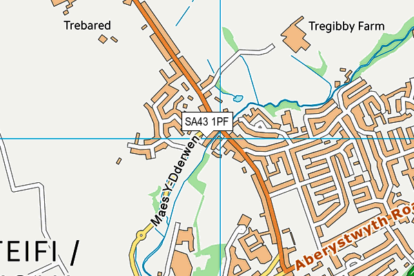 SA43 1PF map - OS VectorMap District (Ordnance Survey)