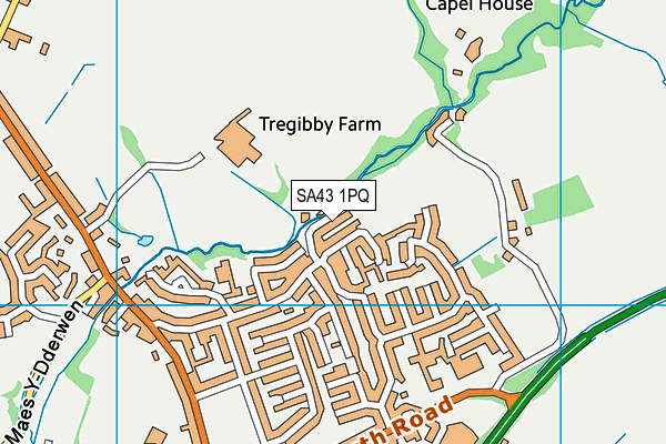 SA43 1PQ map - OS VectorMap District (Ordnance Survey)