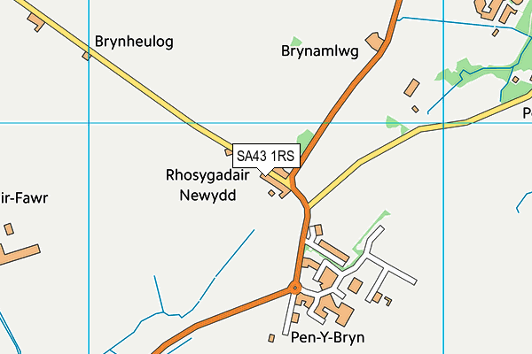 SA43 1RS map - OS VectorMap District (Ordnance Survey)