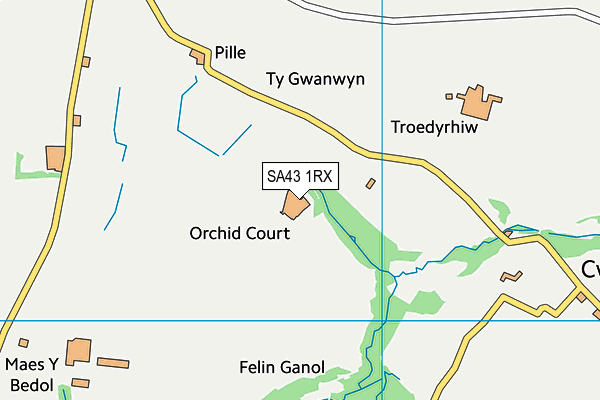 SA43 1RX map - OS VectorMap District (Ordnance Survey)