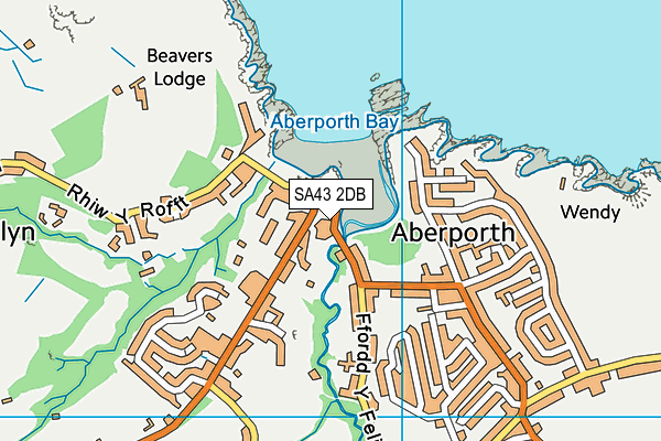 SA43 2DB map - OS VectorMap District (Ordnance Survey)