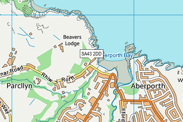 SA43 2DD map - OS VectorMap District (Ordnance Survey)