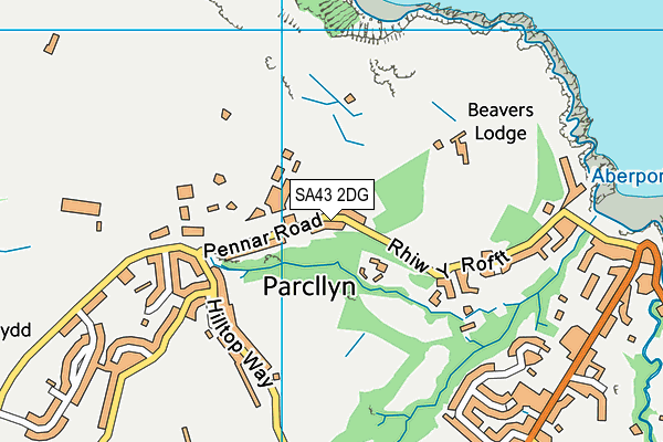 SA43 2DG map - OS VectorMap District (Ordnance Survey)