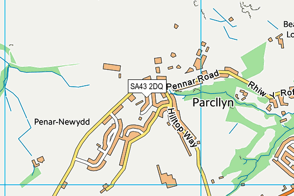 SA43 2DQ map - OS VectorMap District (Ordnance Survey)