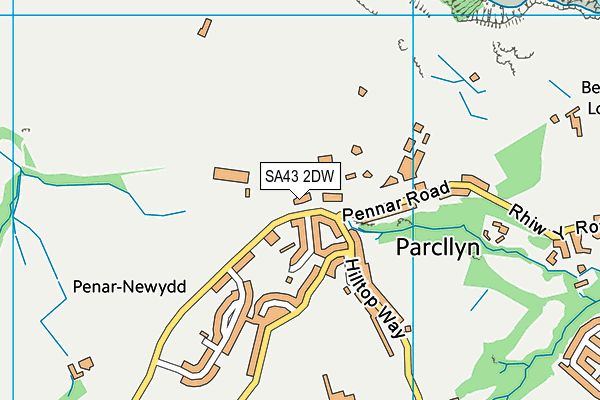 SA43 2DW map - OS VectorMap District (Ordnance Survey)