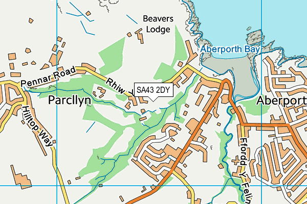 SA43 2DY map - OS VectorMap District (Ordnance Survey)