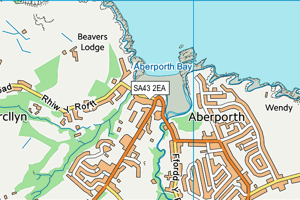 SA43 2EA map - OS VectorMap District (Ordnance Survey)