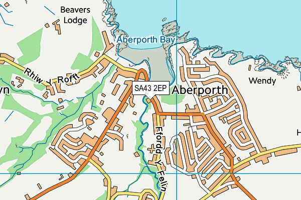 SA43 2EP map - OS VectorMap District (Ordnance Survey)