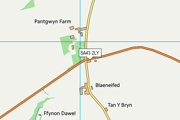 SA43 2LY map - OS VectorMap District (Ordnance Survey)