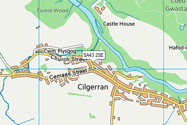 SA43 2SE map - OS VectorMap District (Ordnance Survey)