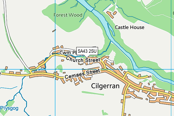 SA43 2SU map - OS VectorMap District (Ordnance Survey)