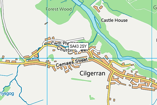 SA43 2SY map - OS VectorMap District (Ordnance Survey)