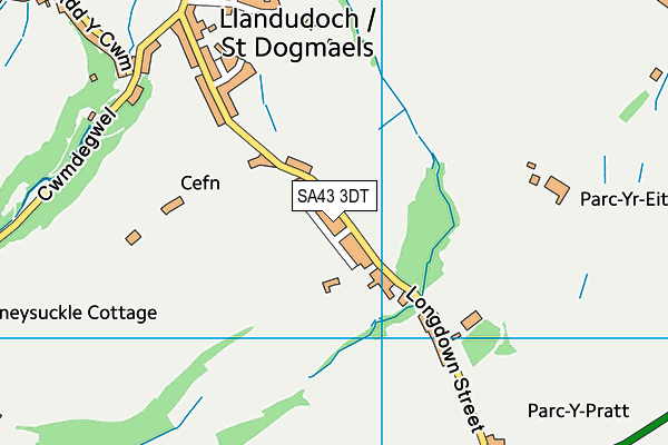 SA43 3DT map - OS VectorMap District (Ordnance Survey)