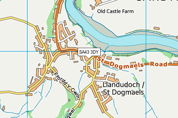 SA43 3DY map - OS VectorMap District (Ordnance Survey)
