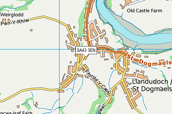 SA43 3EN map - OS VectorMap District (Ordnance Survey)