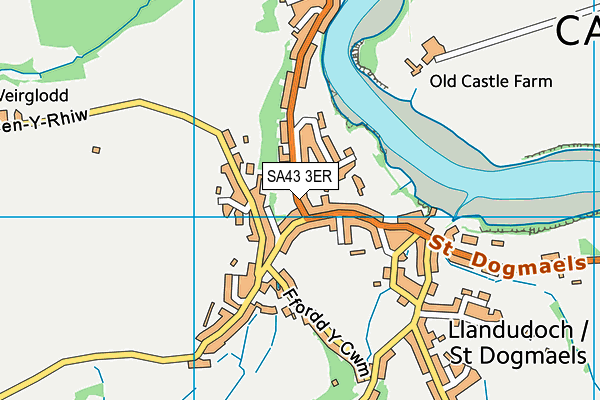 SA43 3ER map - OS VectorMap District (Ordnance Survey)