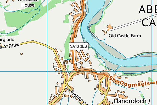SA43 3ES map - OS VectorMap District (Ordnance Survey)