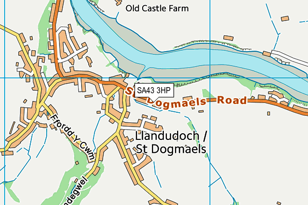 SA43 3HP map - OS VectorMap District (Ordnance Survey)