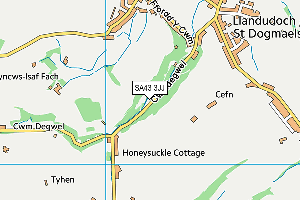 SA43 3JJ map - OS VectorMap District (Ordnance Survey)