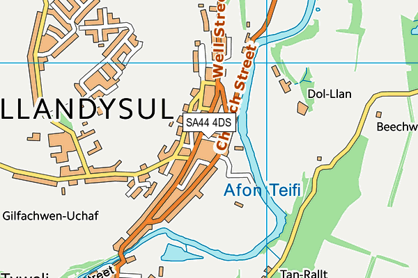 SA44 4DS map - OS VectorMap District (Ordnance Survey)