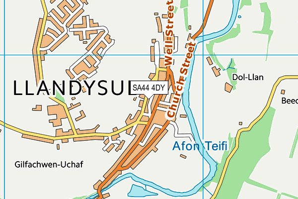 SA44 4DY map - OS VectorMap District (Ordnance Survey)