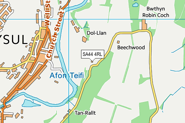 SA44 4RL map - OS VectorMap District (Ordnance Survey)