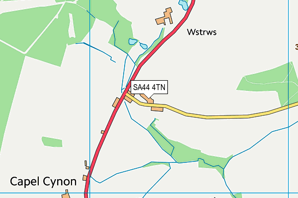 SA44 4TN map - OS VectorMap District (Ordnance Survey)