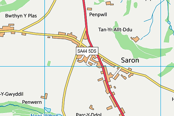 SA44 5DS map - OS VectorMap District (Ordnance Survey)